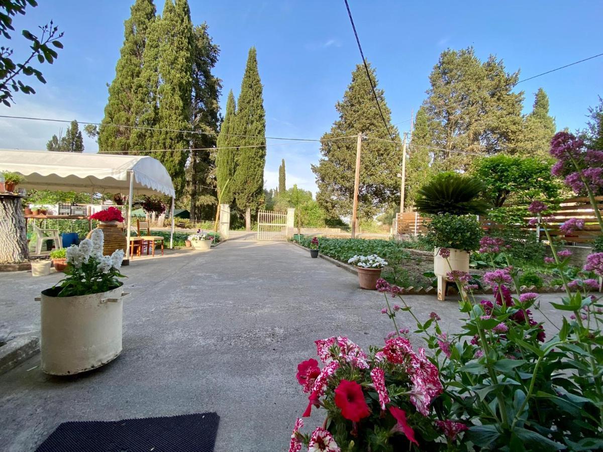 Montsenigos Garden Apartment *